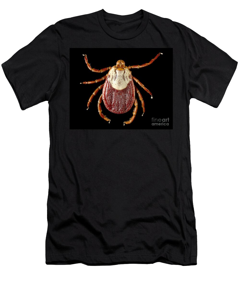 Tick T-Shirt featuring the photograph Rocky Mountain Wood Tick #1 by Science Source