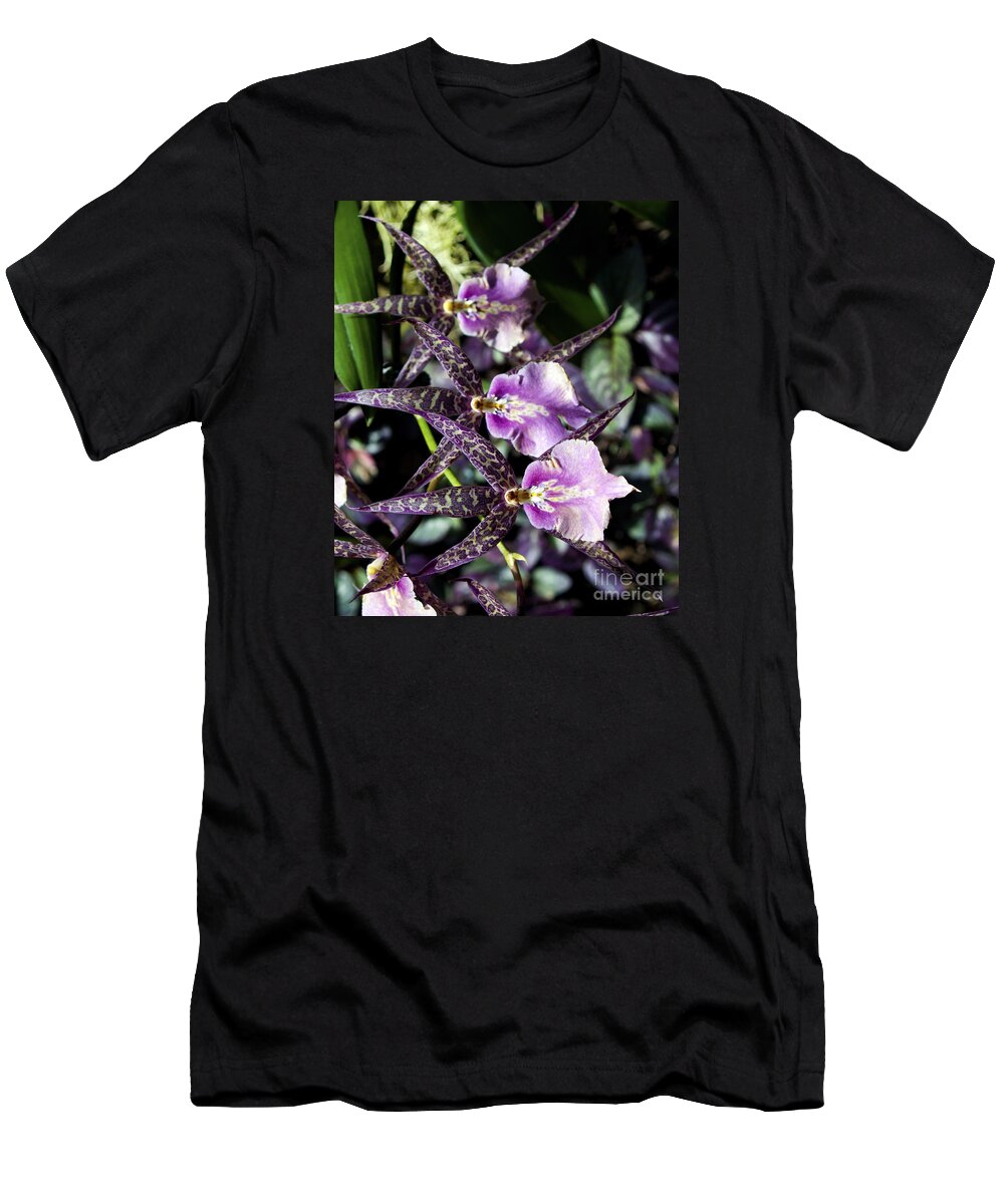 Fine Art Photography T-Shirt featuring the photograph The Three Musketeers #1 by Patricia Griffin Brett