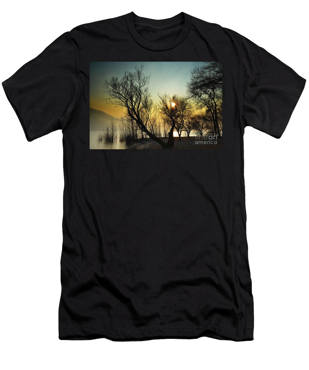 Tree T-Shirt featuring the photograph Sunlight between the trees #2 by Mats Silvan