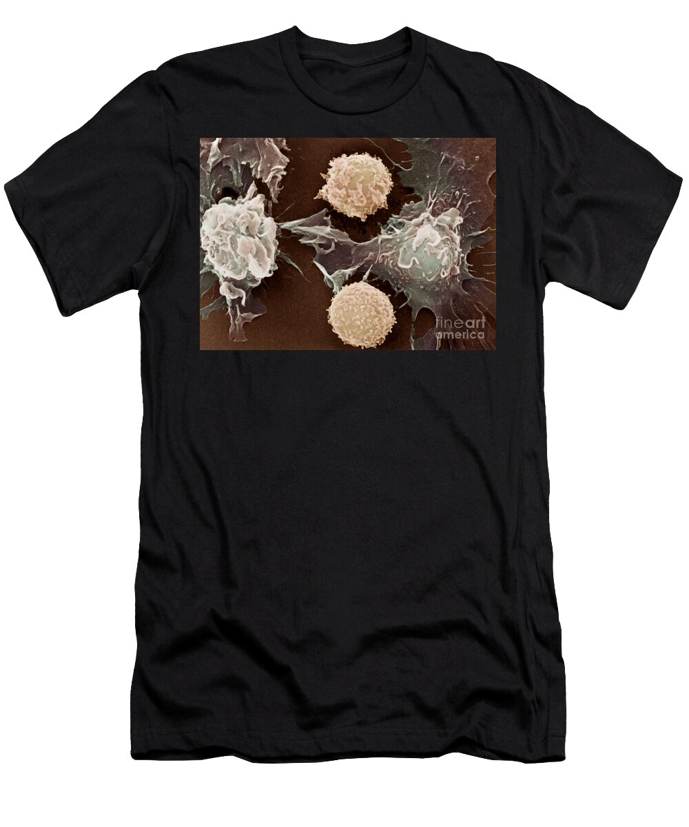 Cancer T-Shirt featuring the photograph Cancer Cells #5 by Science Source