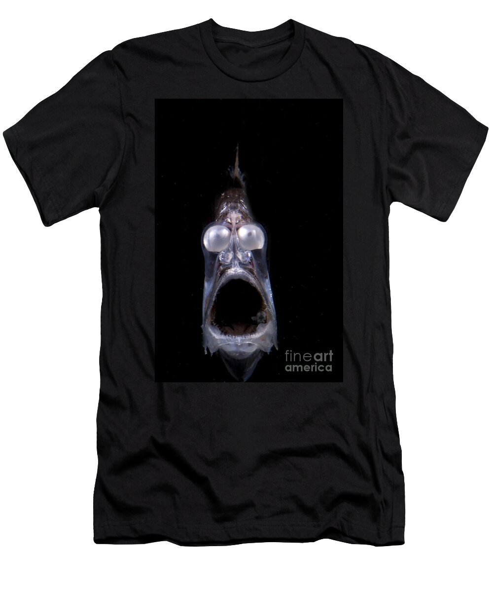 Mesopelagic T-Shirt featuring the photograph Deep Sea Hatchetfish #5 by Dante Fenolio