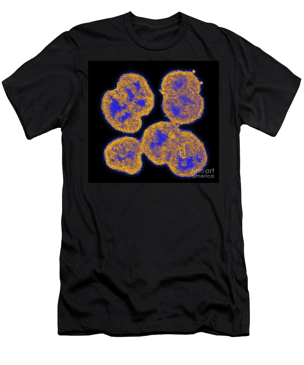 Neisseria Gonorrhoeae T-Shirt featuring the photograph Neisseria Gonorrhoeae #6 by Science Source