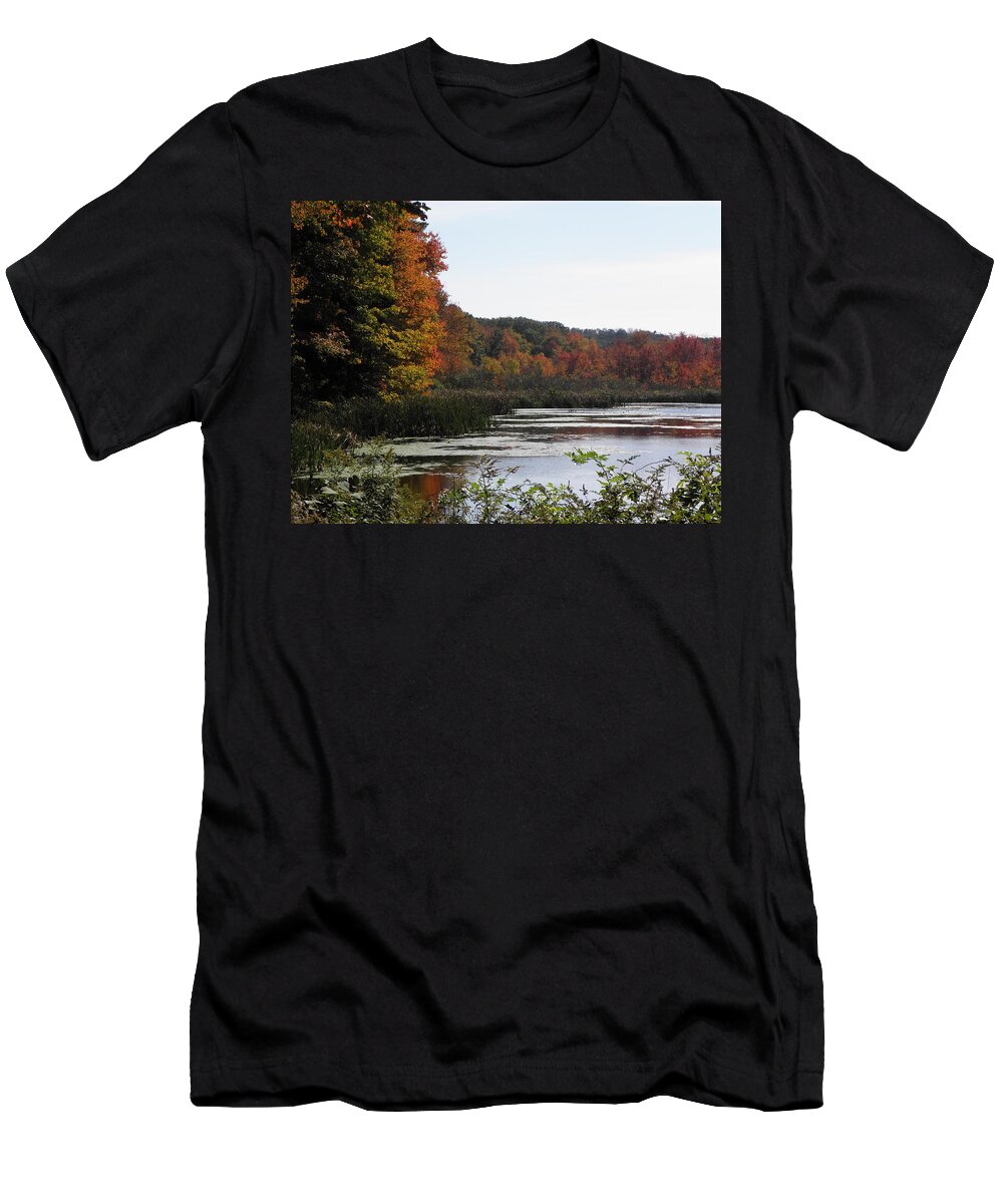 Fall T-Shirt featuring the photograph A Curve Of Color by Kim Galluzzo