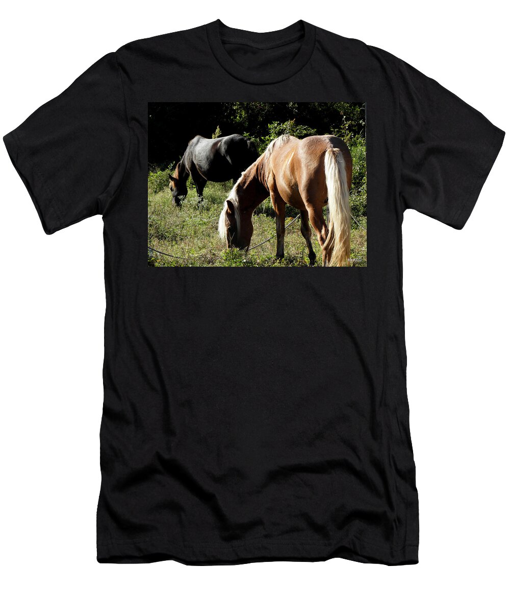 Wild T-Shirt featuring the photograph A Daily Graze by Kim Galluzzo