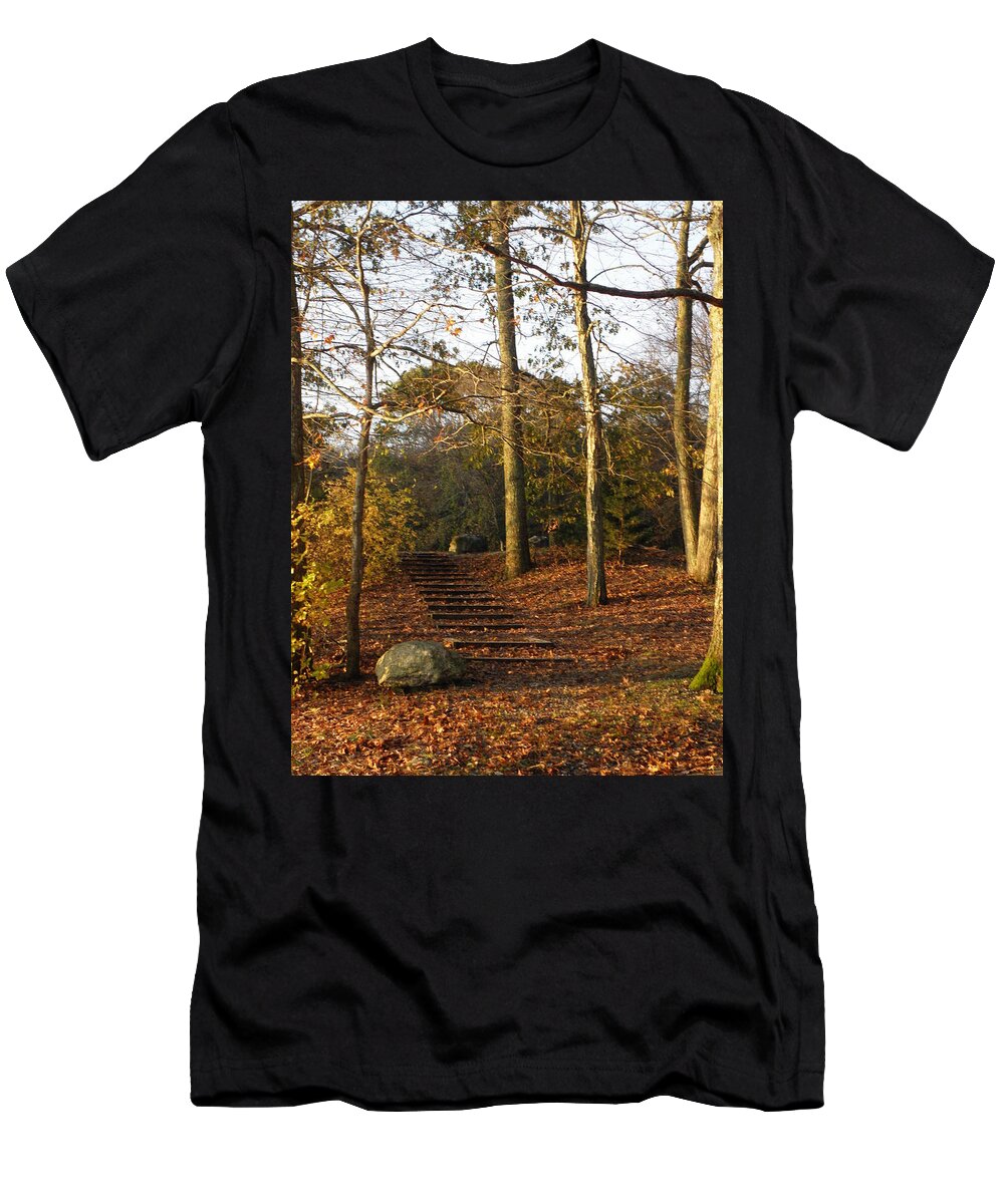 Fall T-Shirt featuring the photograph A Fall Stairway Of Color by Kim Galluzzo