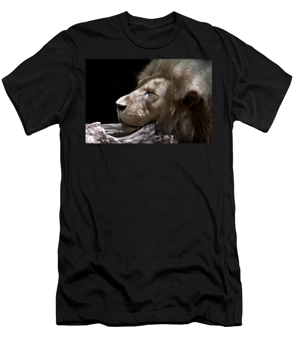 Lion T-Shirt featuring the photograph A Lions Portrait by Ralf Kaiser