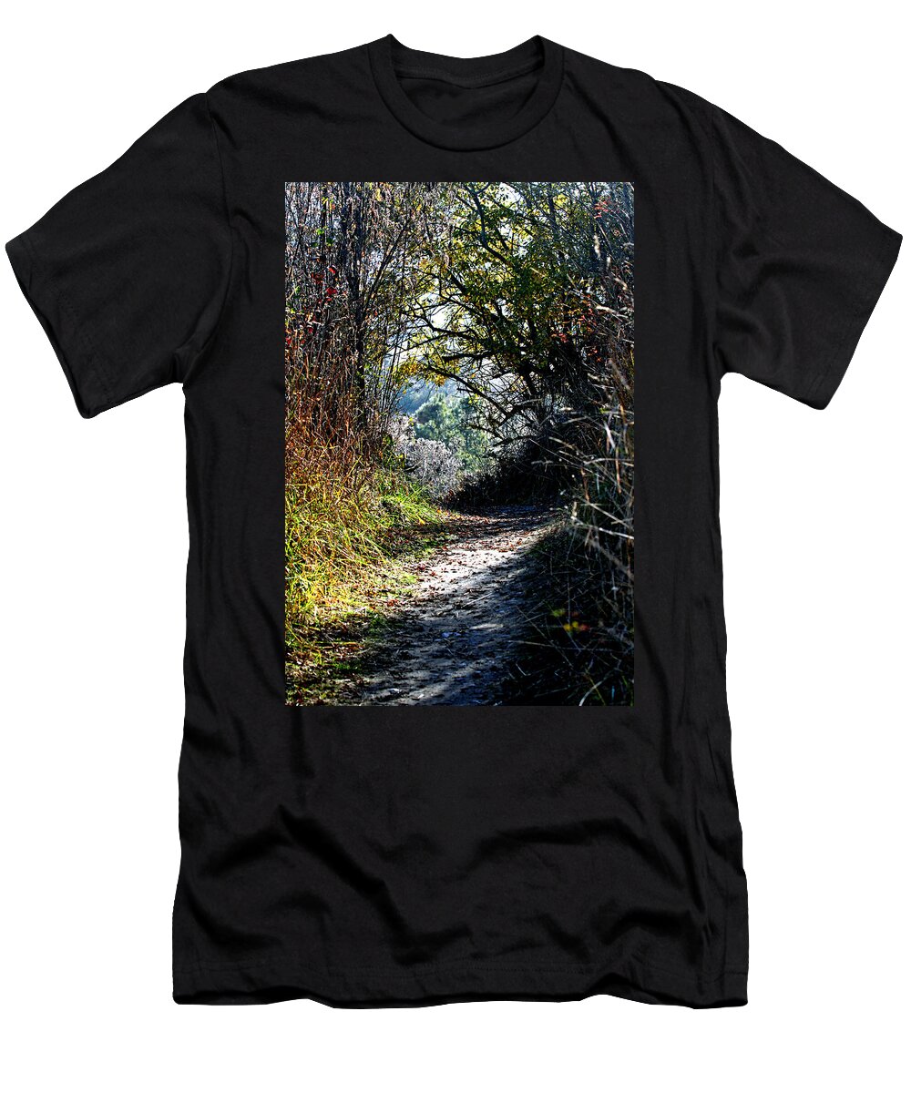 Trails T-Shirt featuring the photograph A Path To The Ocean by Marie Jamieson