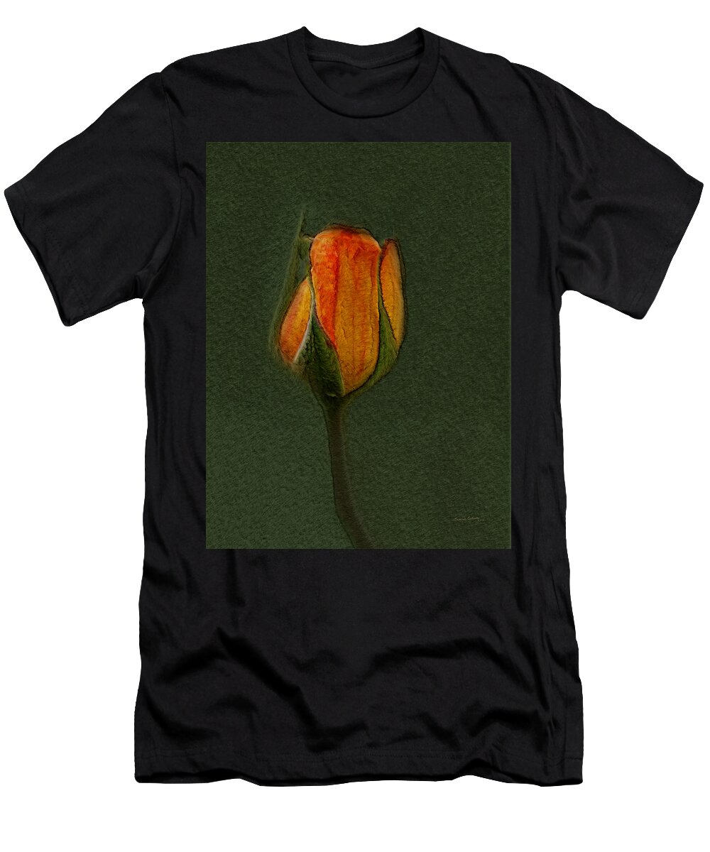 Rose T-Shirt featuring the photograph A Rose 3 by Ernest Echols