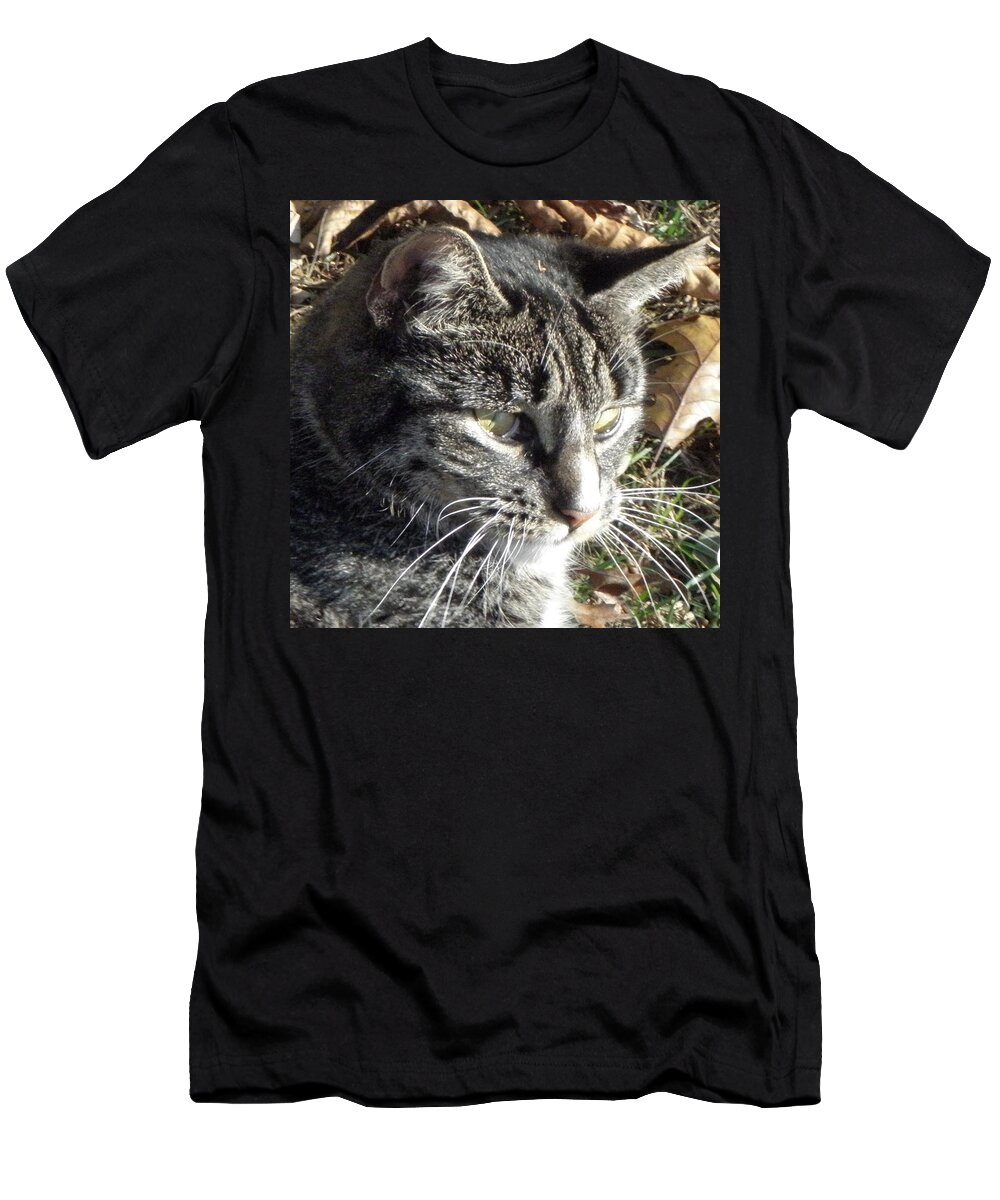Cat T-Shirt featuring the photograph Always In Hunt Mode by Kim Galluzzo Wozniak