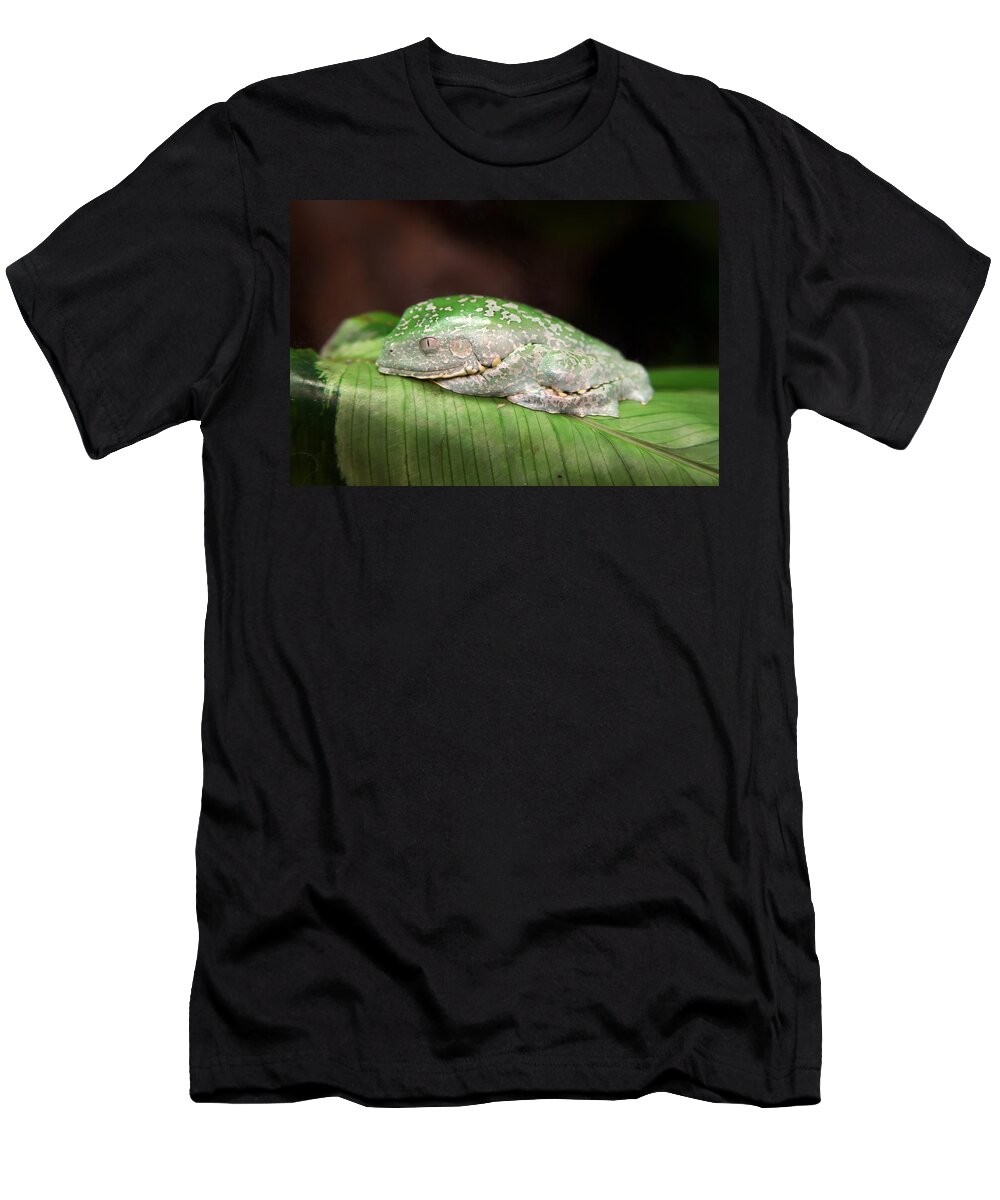 Granger Photography T-Shirt featuring the photograph Amazon Leaf Frog by Brad Granger