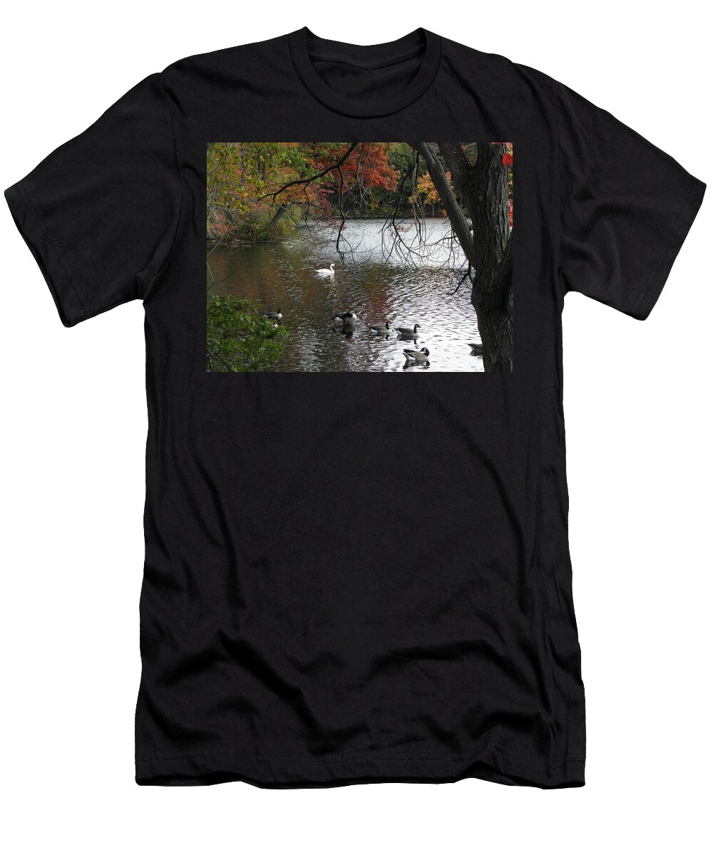 Geese T-Shirt featuring the photograph An Autumn Swim by Kim Galluzzo