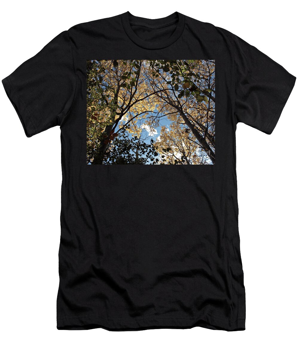 Scenery T-Shirt featuring the photograph Arch To The sky by Barbara McMahon