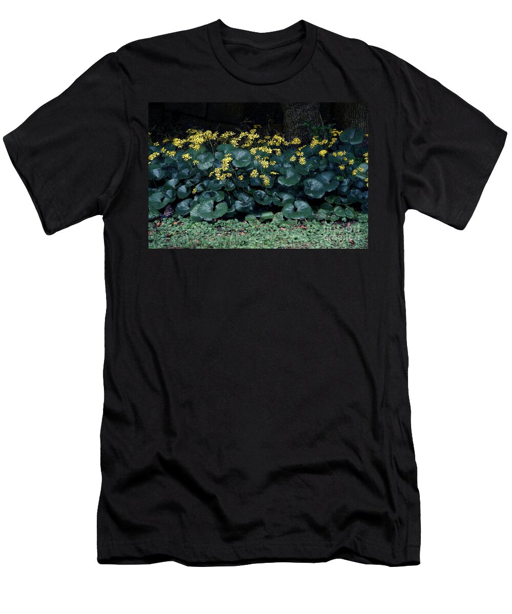 Flowers T-Shirt featuring the photograph Autumn Flowers by Eena Bo