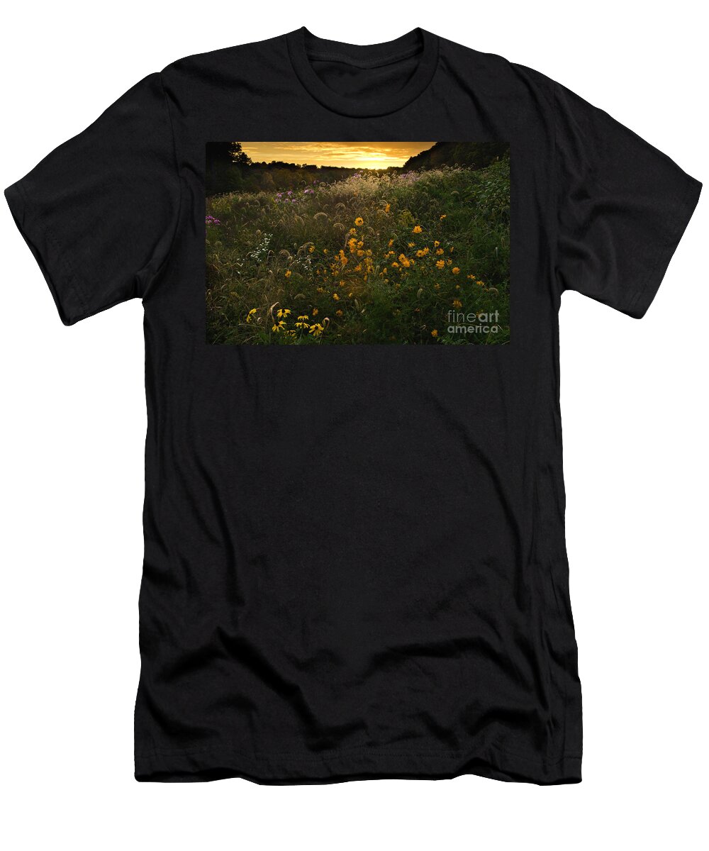 Sun T-Shirt featuring the photograph Autumn Wildflower Sunset - D007757 by Daniel Dempster