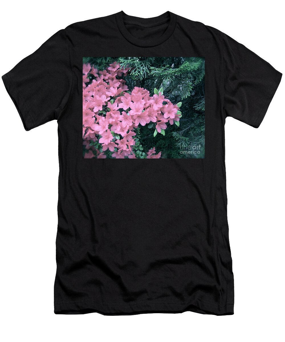 Azaleas T-Shirt featuring the photograph Azaleas and Evergreens by Nancy Patterson