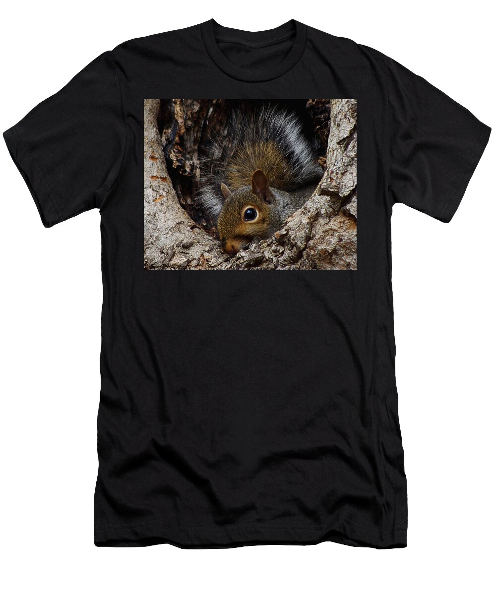 Photography T-Shirt featuring the photograph Baby Squirrel by Jenny Gandert