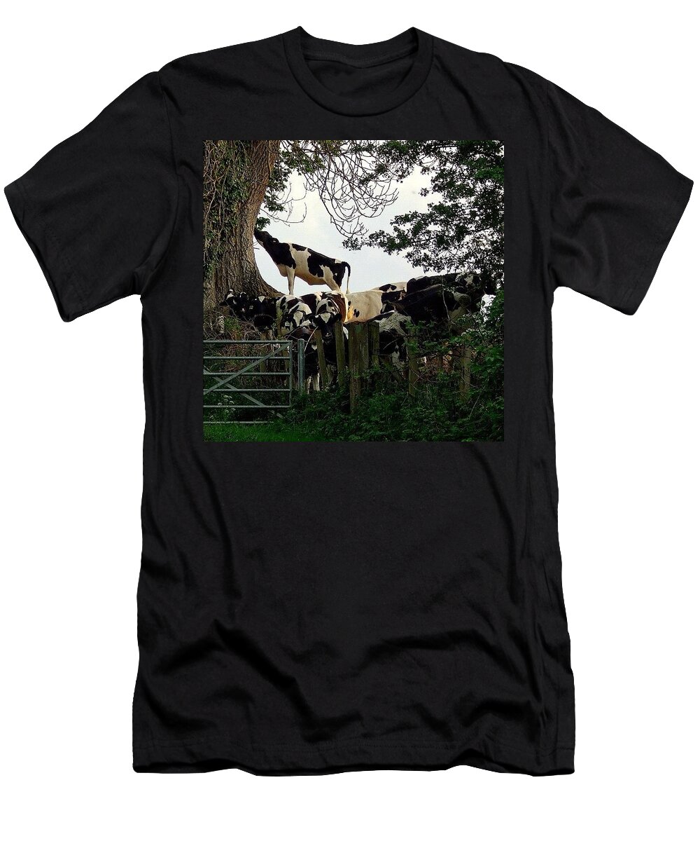 Funny T-Shirt featuring the photograph Balancing Act by Silva Halo
