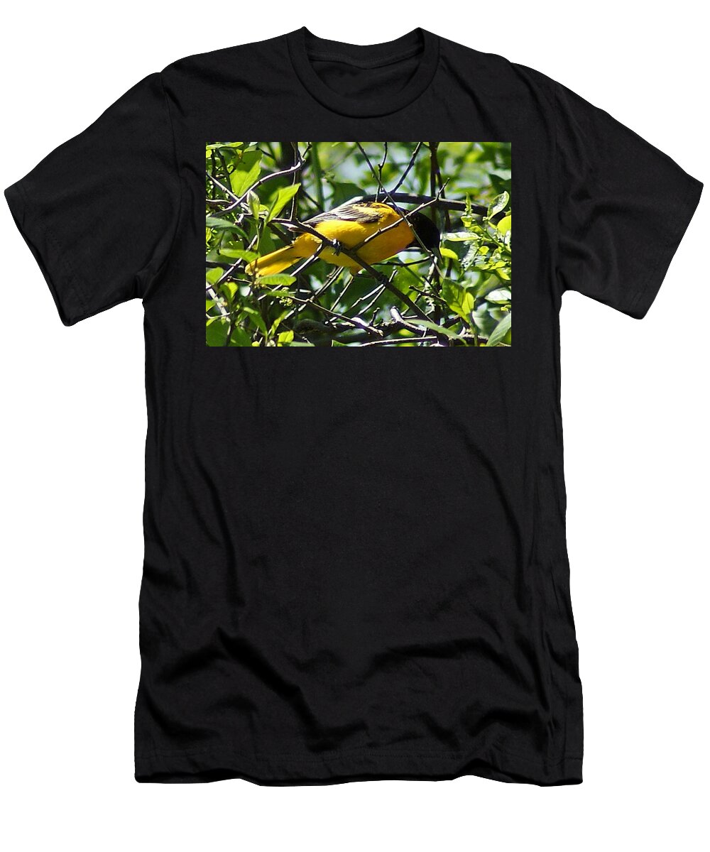 Baltimore T-Shirt featuring the photograph Baltimore Oriole by Joe Faherty