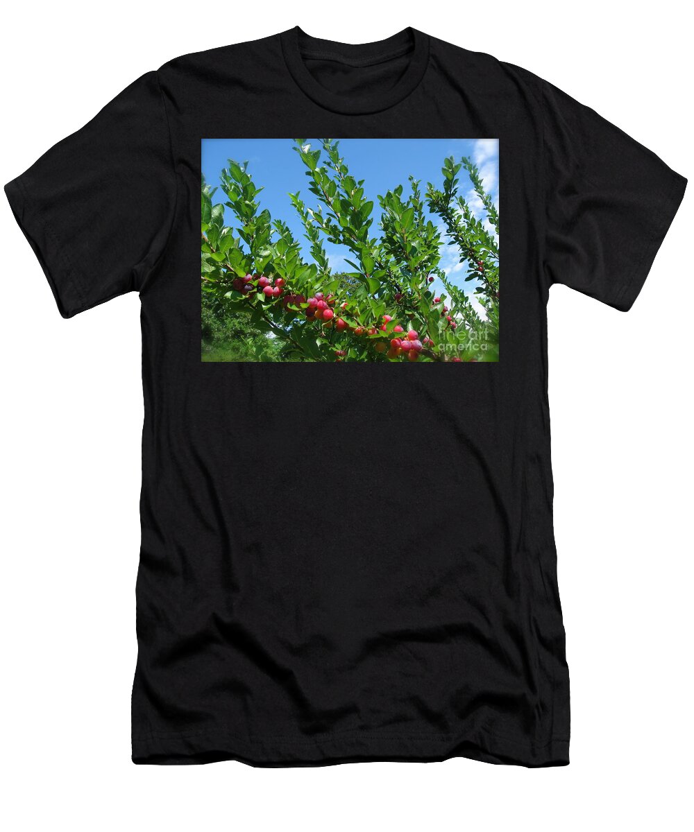 Beach Plums T-Shirt featuring the photograph Beach Plums in Blue by Nancy Patterson