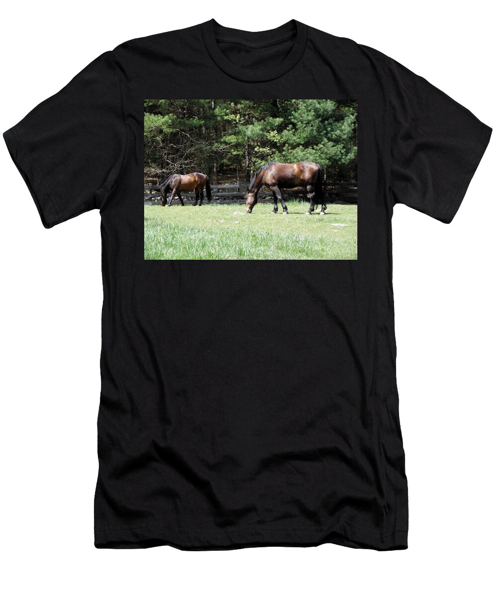 Horse Photography T-Shirt featuring the photograph Beautiful Geldings Grazing by Kim Galluzzo Wozniak