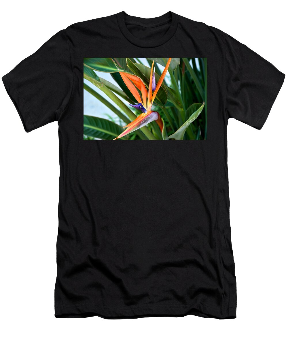 Bird Of Paradise T-Shirt featuring the photograph Bird by Joseph Yarbrough
