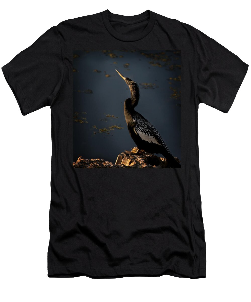 Bird T-Shirt featuring the photograph Black Light by Steven Sparks