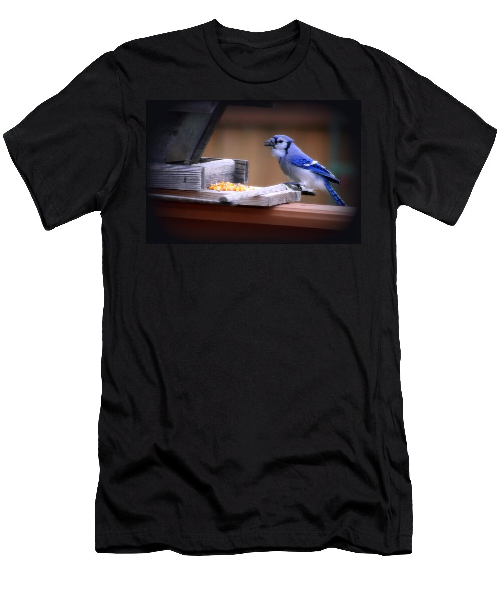 Beautiful T-Shirt featuring the photograph Blue Jay On Backyard Feeder by Kay Novy