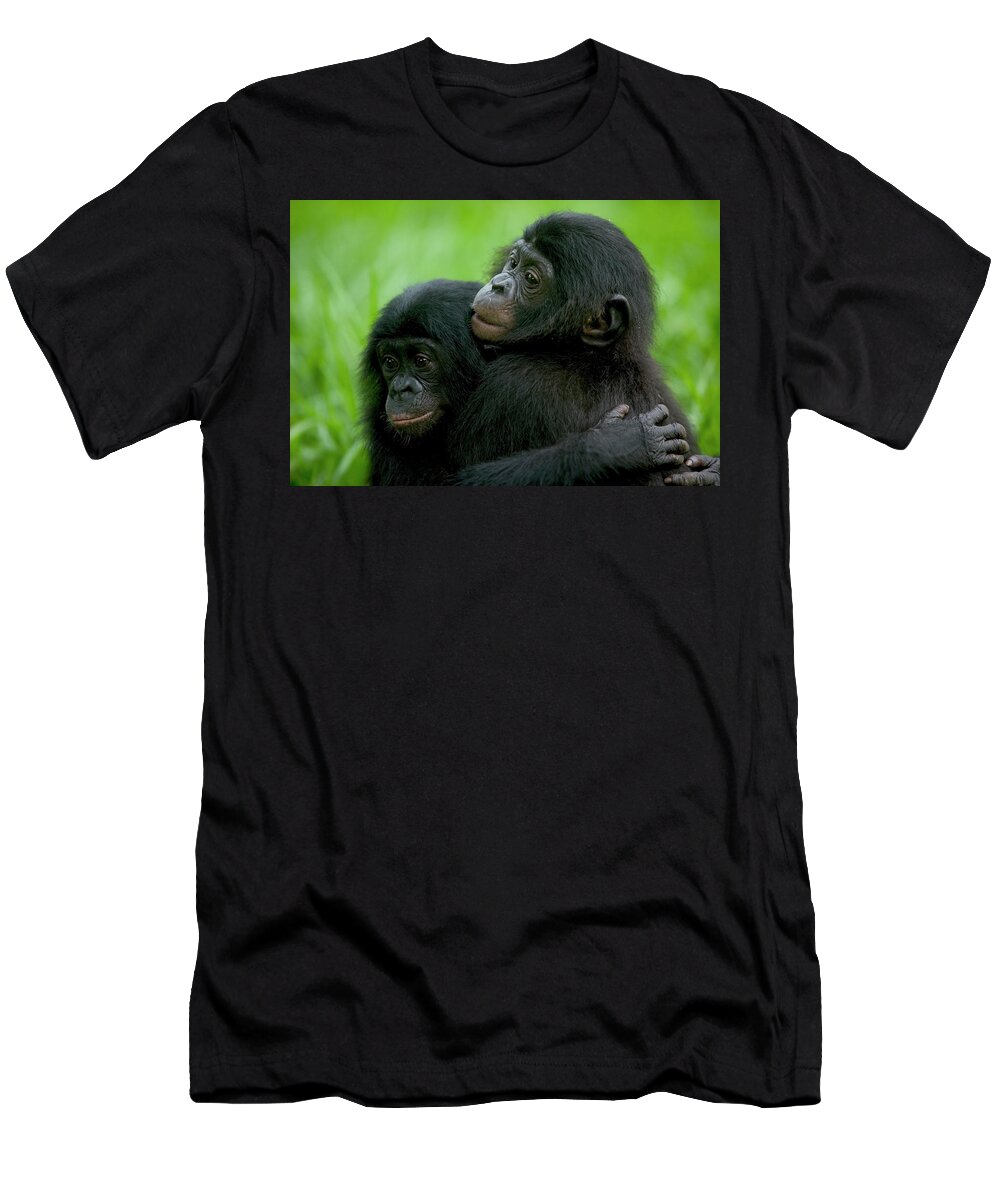 Mp T-Shirt featuring the photograph Bonobo Pan Paniscus Pair Of Orphans by Cyril Ruoso