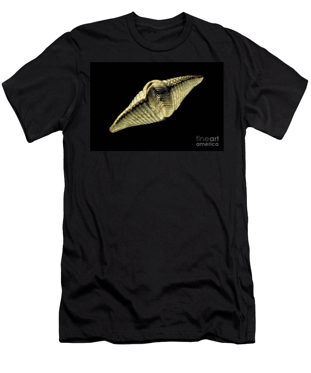 Animal T-Shirt featuring the photograph Brachiopod Fossil by Ted Kinsman