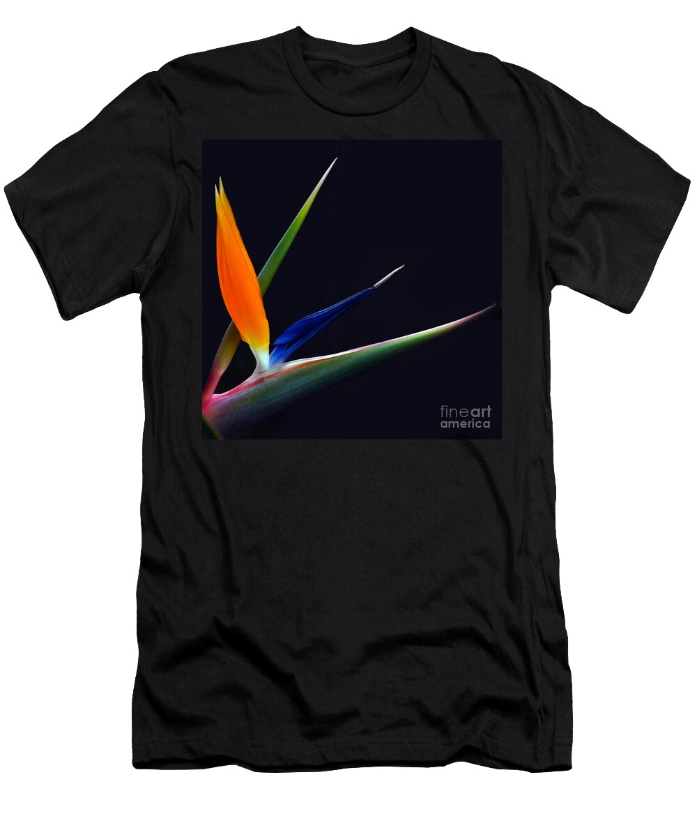 Strelitzia T-Shirt featuring the photograph Bright Bird of Paradise square frame by Byron Varvarigos