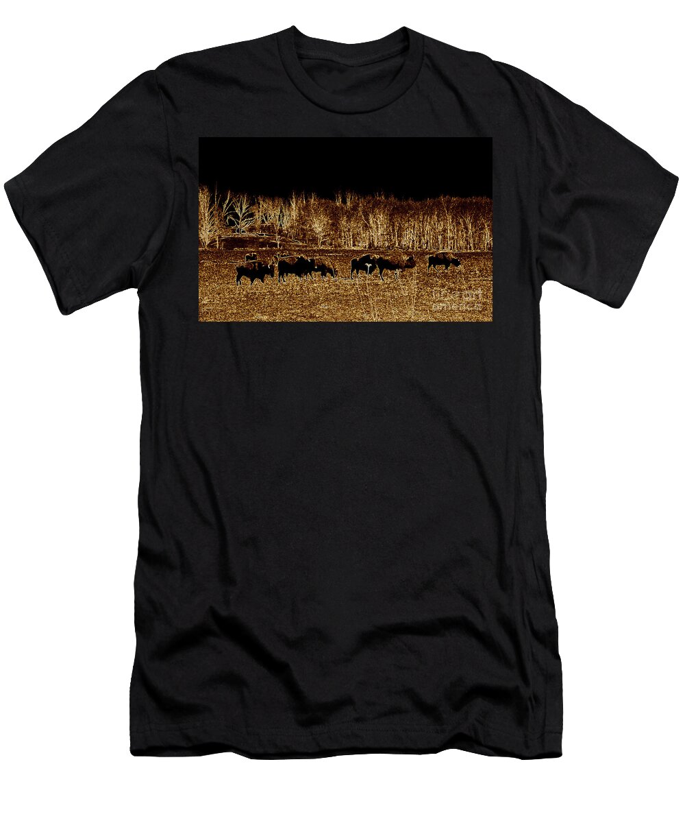 Buffalo T-Shirt featuring the photograph Buffalos roaming by Kim Galluzzo