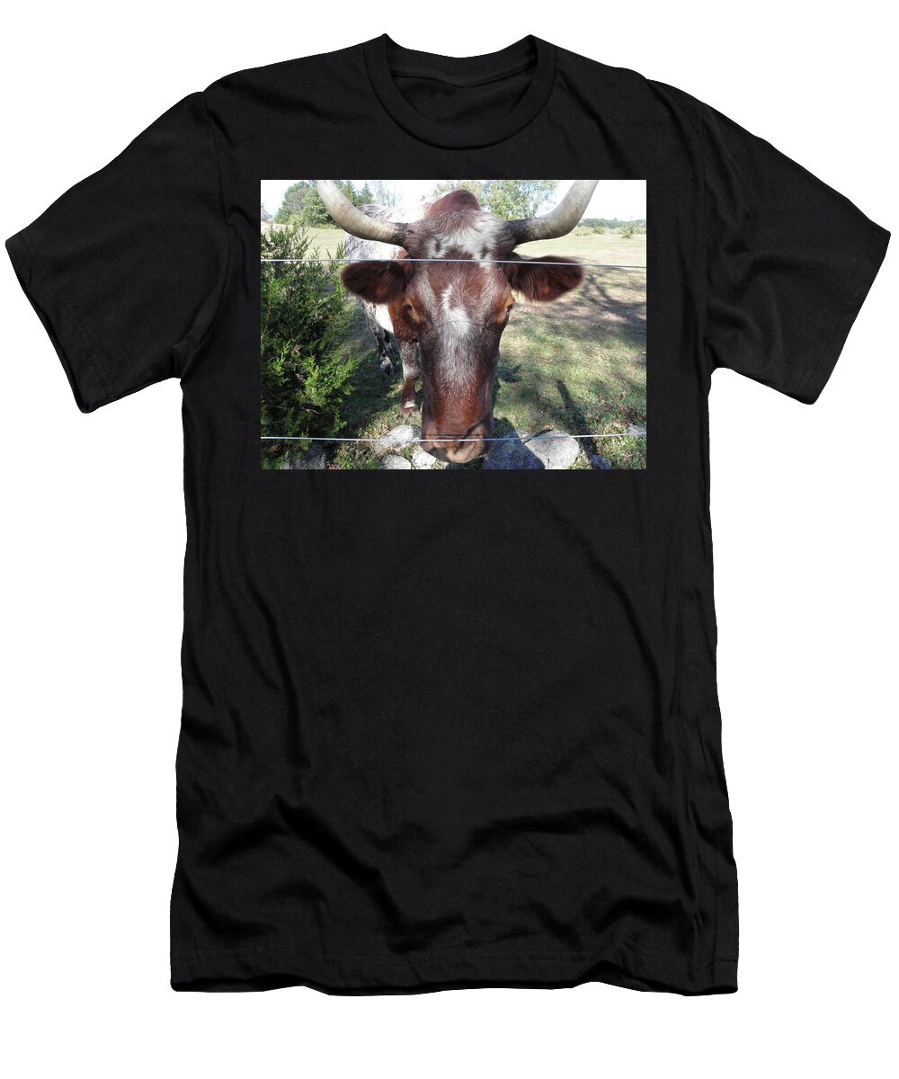 Bull T-Shirt featuring the photograph Bull Face by Kim Galluzzo