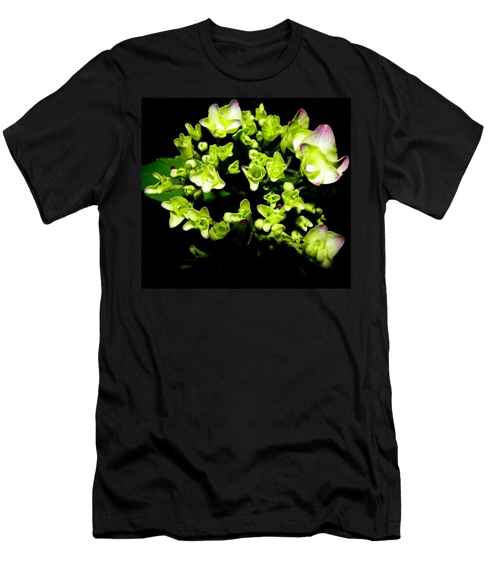 Hydrangea T-Shirt featuring the photograph Bursting With Beauty by Kim Galluzzo Wozniak