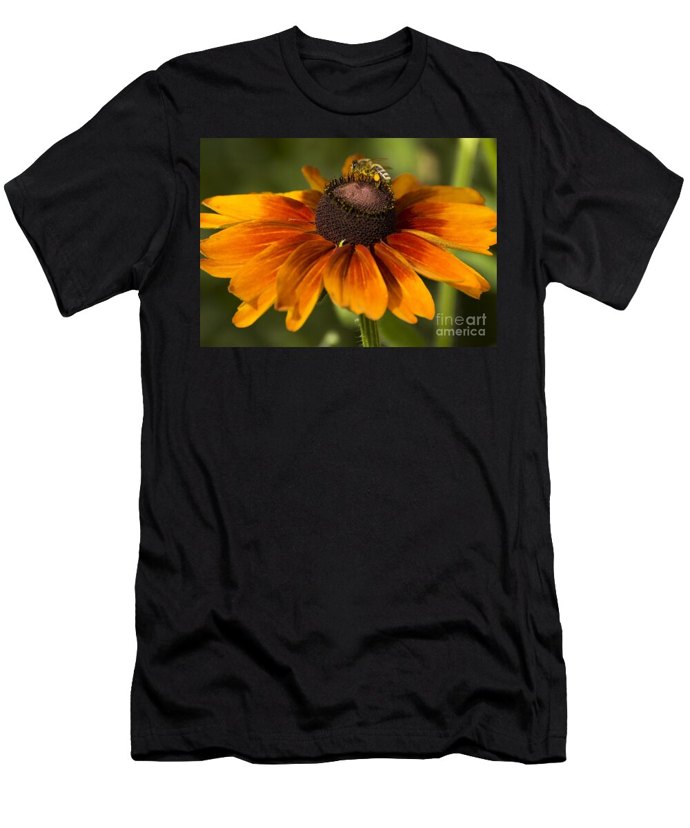 Bee T-Shirt featuring the photograph Busy as a Bee by Heather Applegate