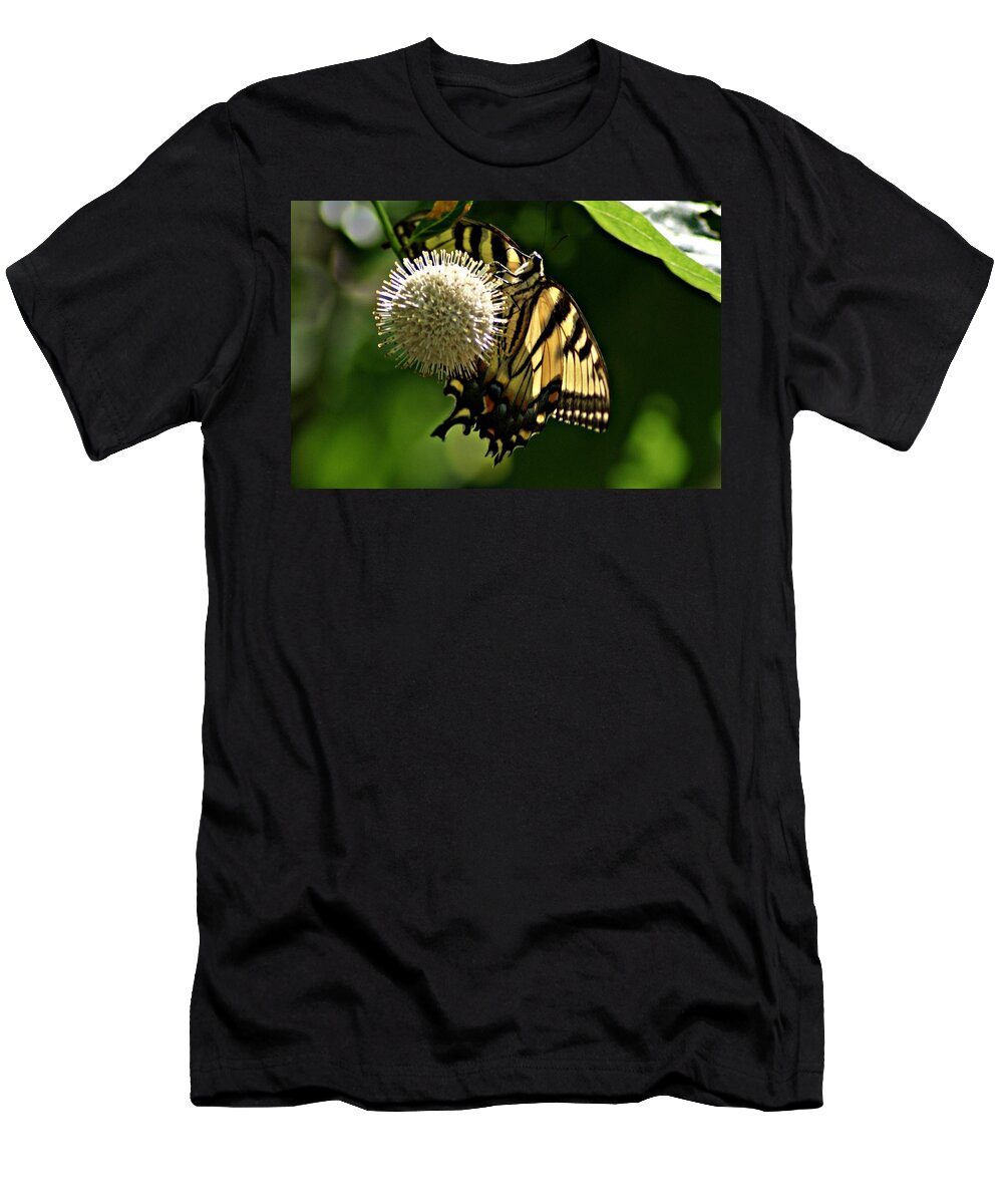 Butterfly T-Shirt featuring the photograph Butterfly 2 by Joe Faherty