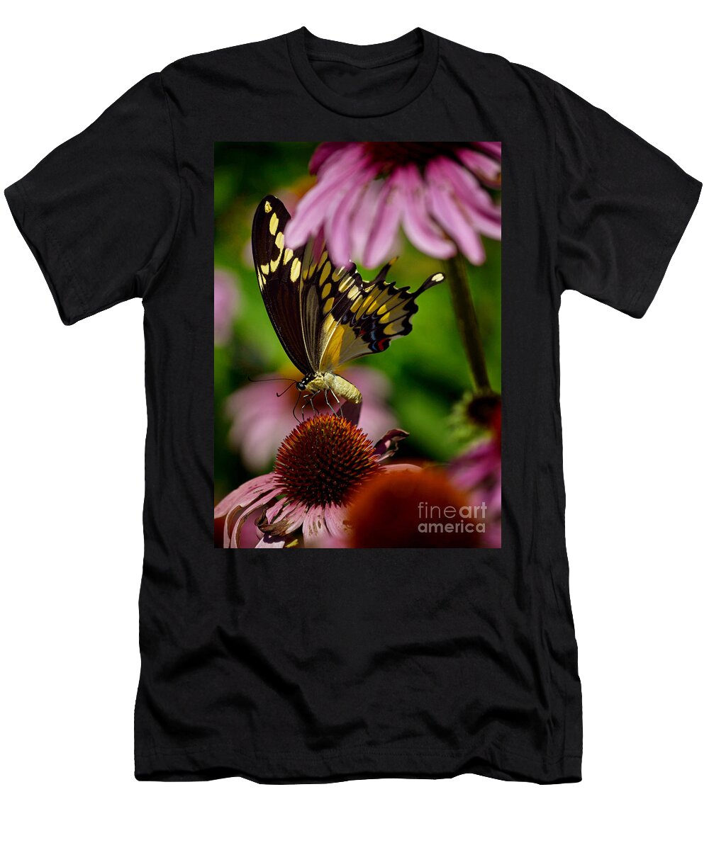Color Photography T-Shirt featuring the photograph Butterfly Heaven by Sue Stefanowicz