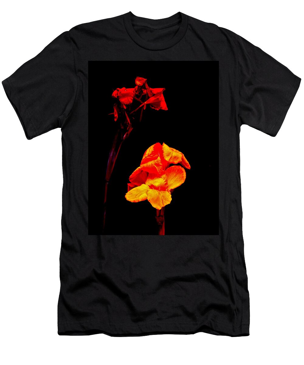 Canna T-Shirt featuring the photograph Canna Lilies on Black by Carol Senske