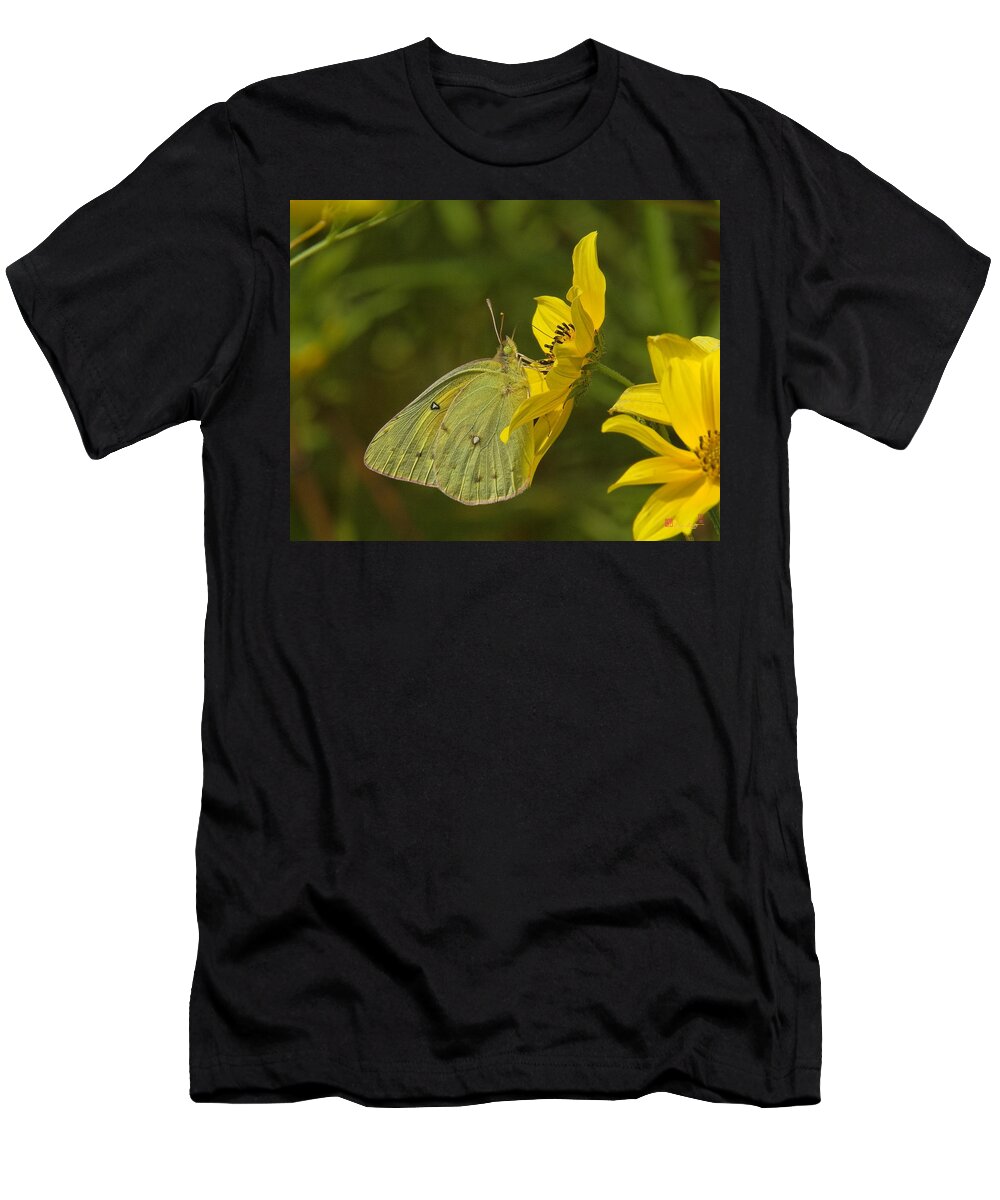 Nature T-Shirt featuring the photograph Clouded Sulphur Butterfly DIN099 by Gerry Gantt