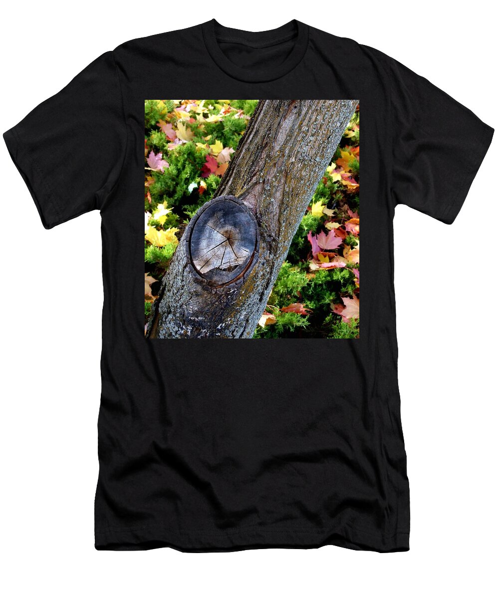 Autumn T-Shirt featuring the photograph Country Color 8 by Will Borden