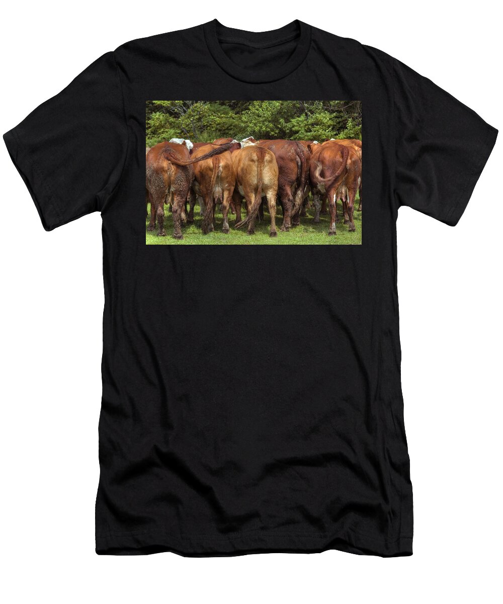 Cow T-Shirt featuring the photograph Cow Huddle by Joann Vitali