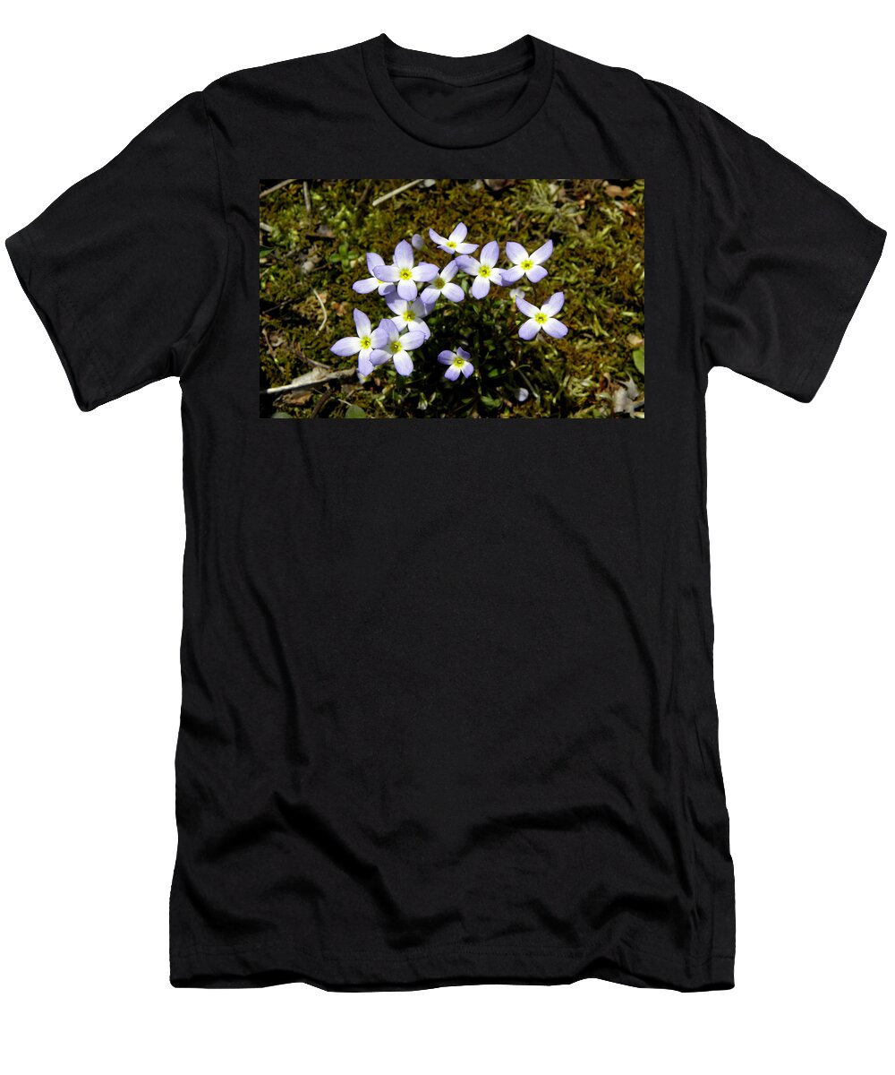 Flowers T-Shirt featuring the photograph Dainty Wild Flowers by Kim Galluzzo
