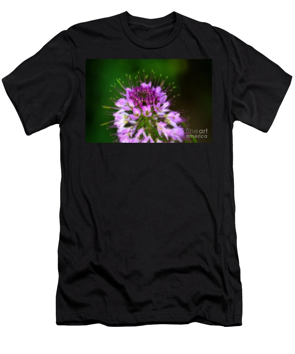 Rocky Mountain T-Shirt featuring the photograph Desert Bloosom by Donna Greene