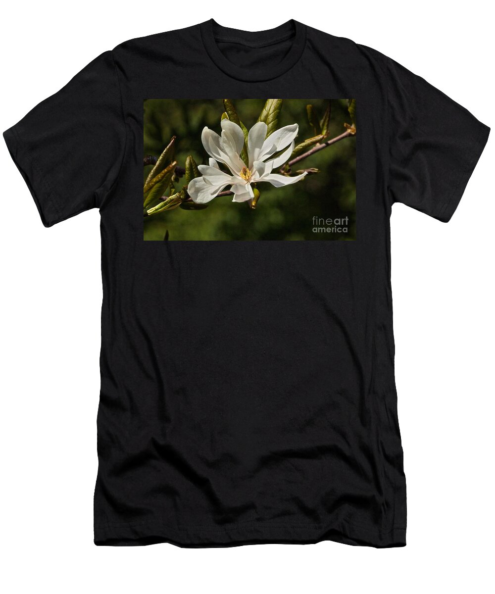 Magnolia Stellata T-Shirt featuring the photograph Easter Star by Byron Varvarigos