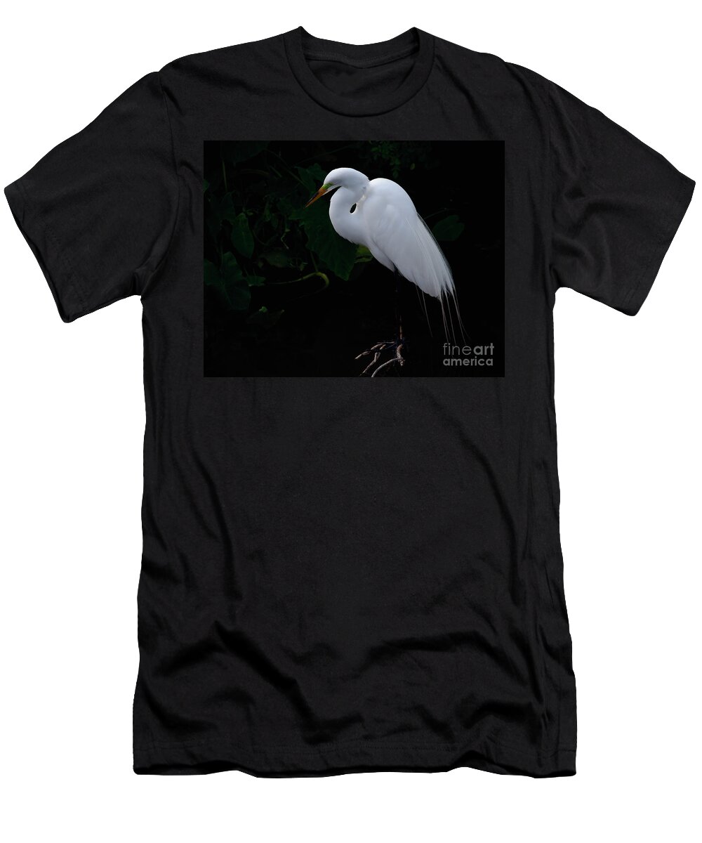Egret T-Shirt featuring the photograph Egret on a Branch by Art Whitton