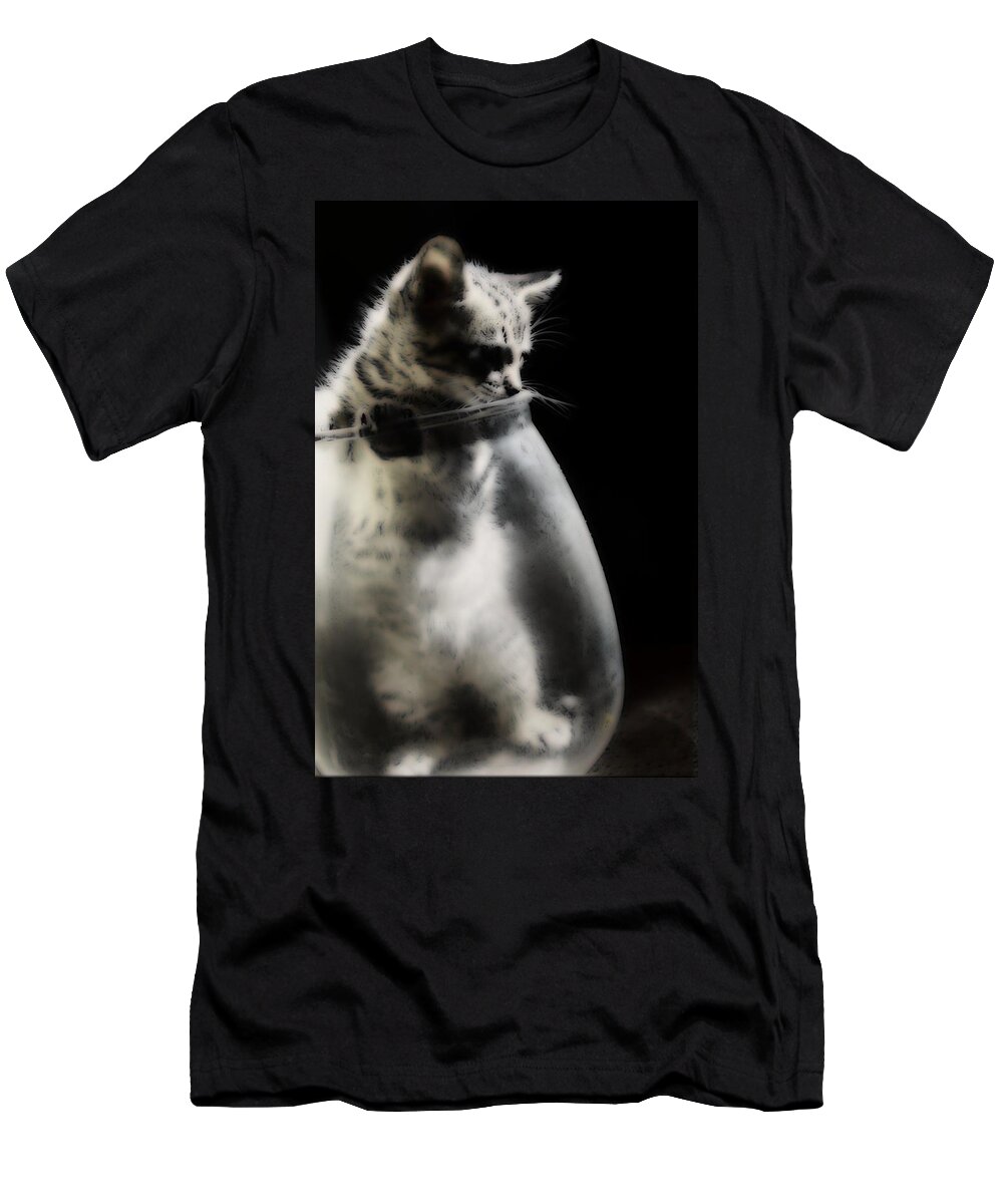 Kitten T-Shirt featuring the photograph El Kitty by Jessica S