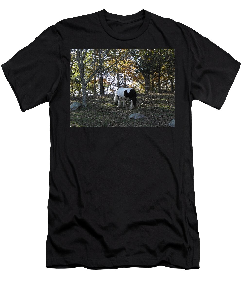 Fall T-Shirt featuring the photograph Fall Graze by Kim Galluzzo Wozniak