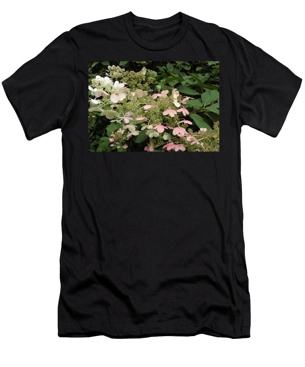 Hydrangea T-Shirt featuring the photograph FALLing into pastels by Kim Galluzzo