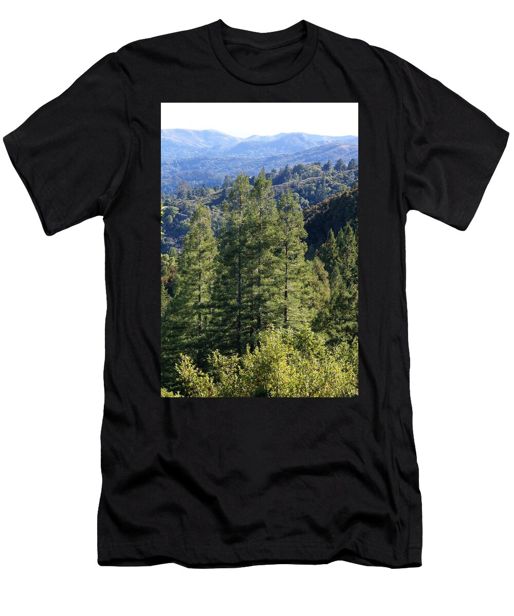 Redwoods On Mt Tamalpais T-Shirt featuring the photograph Feeling Free on Mt Tamalpais by Ben Upham III