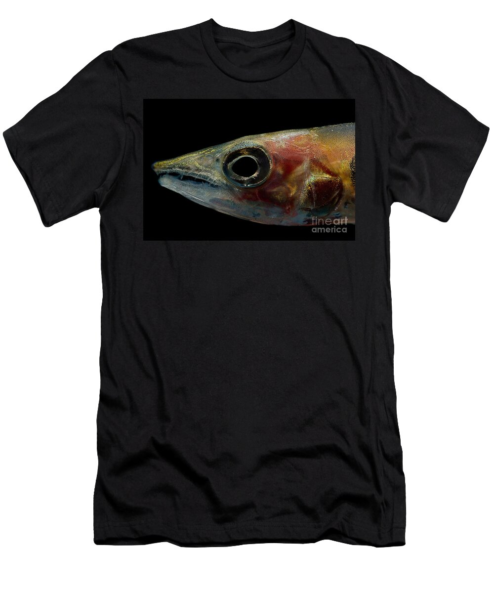Freshwater Barracuda T-Shirt featuring the photograph Freshwater Barracuda by Dant Fenolio