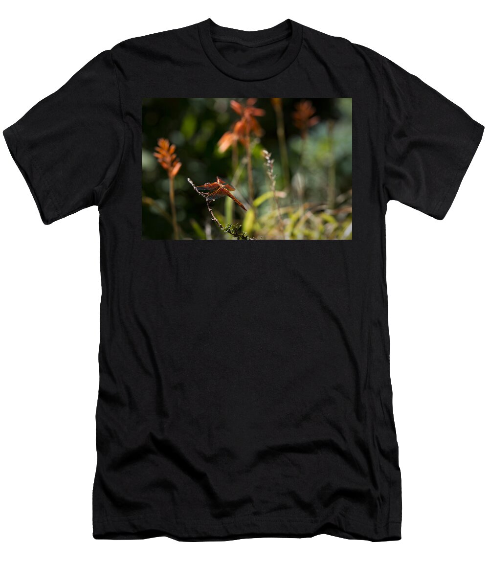 Dragonfly T-Shirt featuring the photograph Garden Orange by Priya Ghose